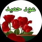 نسانهاییصباح الخ