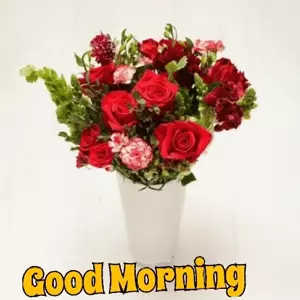 ty3AbI