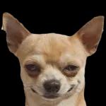 Eres lo másimportante demi vida