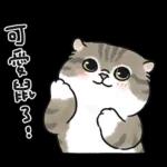 愛撒嬌的奶油小生 (虎斑貓)