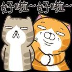 白爛貓53☆超靠北☆