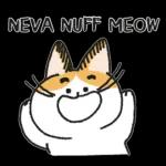 Do you have cat biscuits?