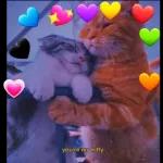 خد دي واسكت،