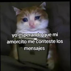 yo esperando que mi amorcito me conteste los mensajes - getsticker.com