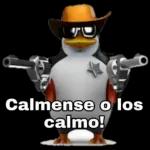 no te entiendo ni bestia