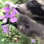 HIHI!!!