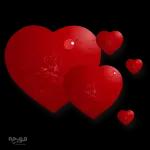 Love
حلى بوسة