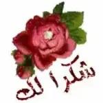 هل نلتقي في وقت لاحق؟