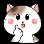 Cats! For reply