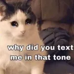 ...