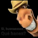 Perdón