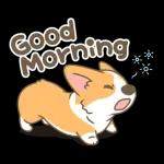 萌宠sticker  01301🥰