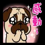 豆卡頻道-好運強強滾