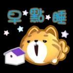 閃亮的日子=椪柑=