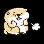 SHIBANBAN微笑柴犬-寶寶逃避現實