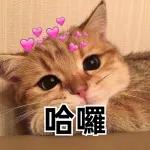 讚！