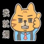 布丁的貓職場日常