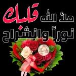 ca04e6a5-41ec-4822-ab89-09644d5f1632