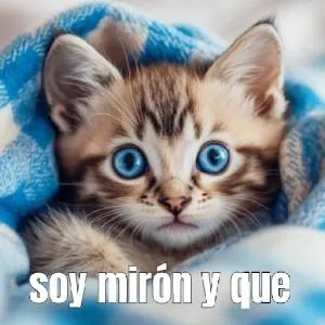 3NxrJS