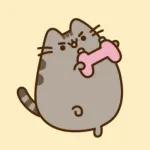 Pusheen