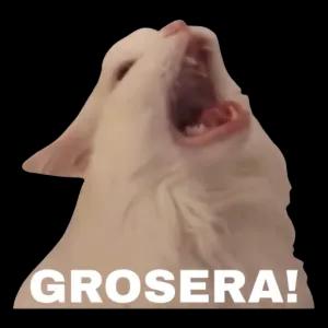 4WGR09