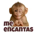 Emoticones de mono