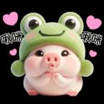 Piggy Frog so cute 