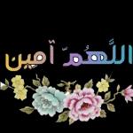 🤣🤣🤣🤣🤣🤣