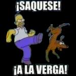 [SAQUESE! FALA VERGA! 