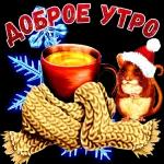 доброе утро