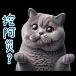 起肖貓貓★台語卡唬爛!