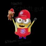 ⚽️FC Bayern⚽️