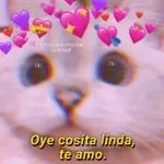 Yo siento que usted me habla como por turnos.