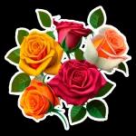 Blume💐💐💐