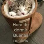 aviso....dormir..