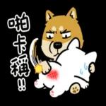 豆卡頻道-好運強強滾