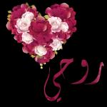 جناح السعادة والرضا🧡