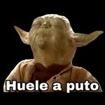Quieres pelea Prro?