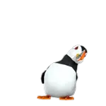 Se vienen stickers animados