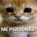 me perdonas 