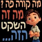 בוקר