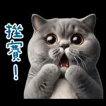 起肖貓貓★台語卡唬爛!