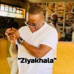 My fellow south Africans