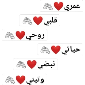 l5ajEg