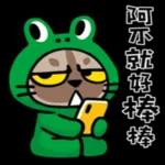 貓爪抓 -你問我答 1