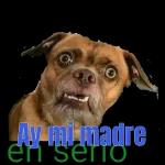 Diosito te esta viendo.