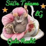 Guten Abend