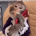 спишь?
