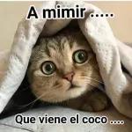 NO sé