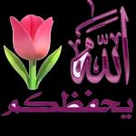 جزاك الله الحسنى وزيادة وسقاك من نهر الكوثر